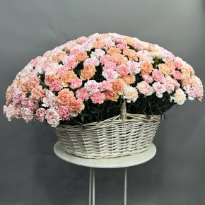 Композиция в корзине из 251 диантуса микс в Наро-Фоминске