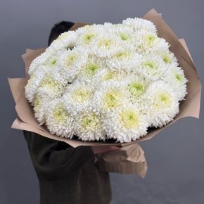 Букет из 27 хризантем Магнум в Наро-Фоминске