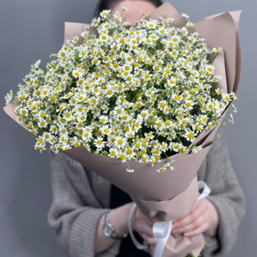 Букет из 17 полевых ромашек в Наро-Фоминске
