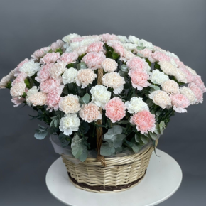 Композиция в корзине из 101 диантуса микс в Наро-Фоминске