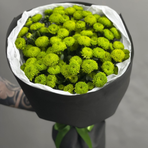 Стильный букет "Лайм" из 15 хризантем сантини в Наро-Фоминске