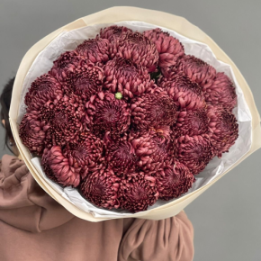 Букет 21 шоколадной хризантемы Бигоуди в Наро-Фоминске