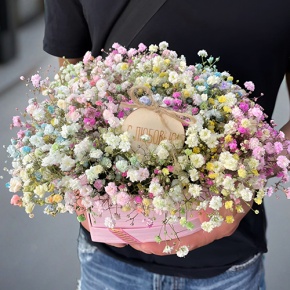 Композиция в коробке сердца из радужных гипсофил с топпером в Наро-Фоминске