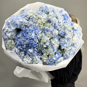 Букет из 23 синих гортензий в Наро-Фоминске