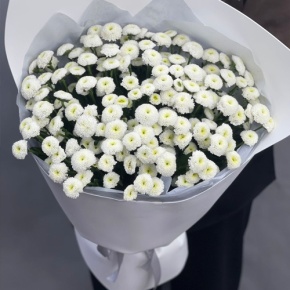 Букет "Белая дымка" из 25 хризантем сантини в Наро-Фоминске