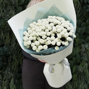 Букет из 25 хризантем Ньютон в Наро-Фоминске