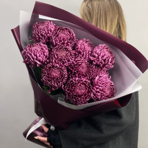Букет "Изобилие" из 11 винных хризантем Бигоуди в Наро-Фоминске