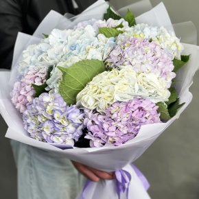Букет из 9 Голландских гортензий микс в Наро-Фоминске