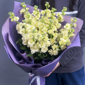 Букет из 15 лимонных маттиол в Наро-Фоминске