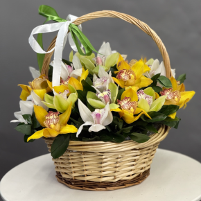 Композиция в корзине из 25 орхидей микс в Наро-Фоминске