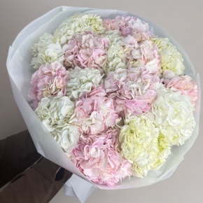 Букет из 17 нежных гортензий в Наро-Фоминске