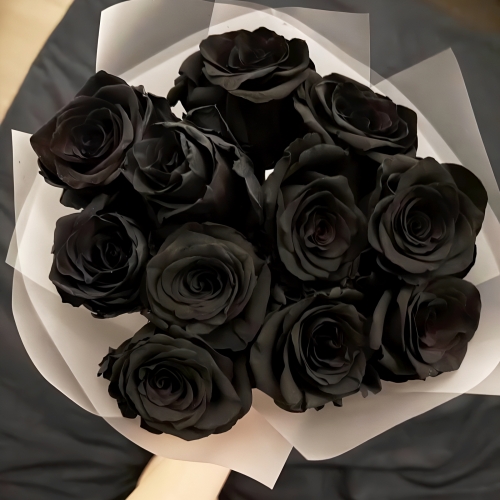 Букет "Черная королева" из 11 черных роз Эквадор (60 см) в Наро-Фоминске
