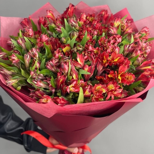 Монобукет из 25 красных альстромерий в Наро-Фоминске