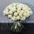 Букет 75 белых роз Эквадор Мондиаль (80 см) в Наро-Фоминске Букет 75 белых роз Эквадор Мондиаль (80 см) в Наро-Фоминске
