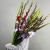 Букет из 25 гладиолусов микс в Наро-Фоминске