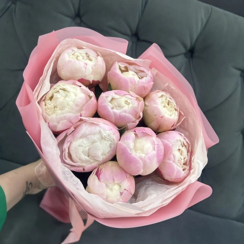 Букет из 9 нежных пионов Гардения в Наро-Фоминске