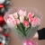 Букет "Фламинго" из 11 пионовидных тюльпанов в Наро-Фоминске