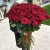 Букет из 101 красной розы (90 см) в Наро-Фоминске Букет из 101 красной розы (90 см) в Наро-Фоминске