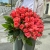 Букет 51 роза коралл (60 см) в Наро-Фоминске